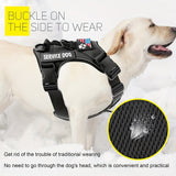 LUMINOUS TRAILBLAZER™ Harness