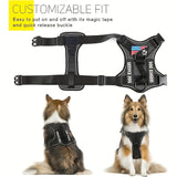 LUMINOUS TRAILBLAZER™ Harness