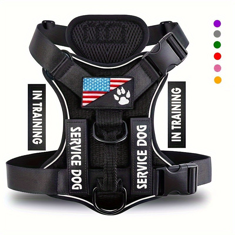 LUMINOUS TRAILBLAZER™ Harness