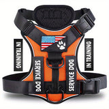 LUMINOUS TRAILBLAZER™ Harness