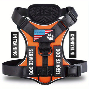 LUMINOUS TRAILBLAZER™ Harness