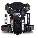 LUMINOUS TRAILBLAZER™ Harness