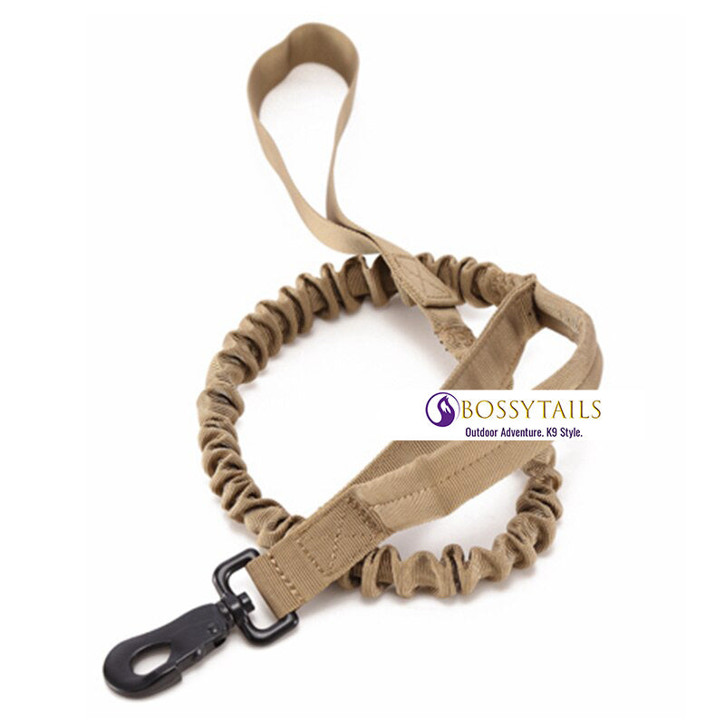 Elite pet outlet bungee sports leash