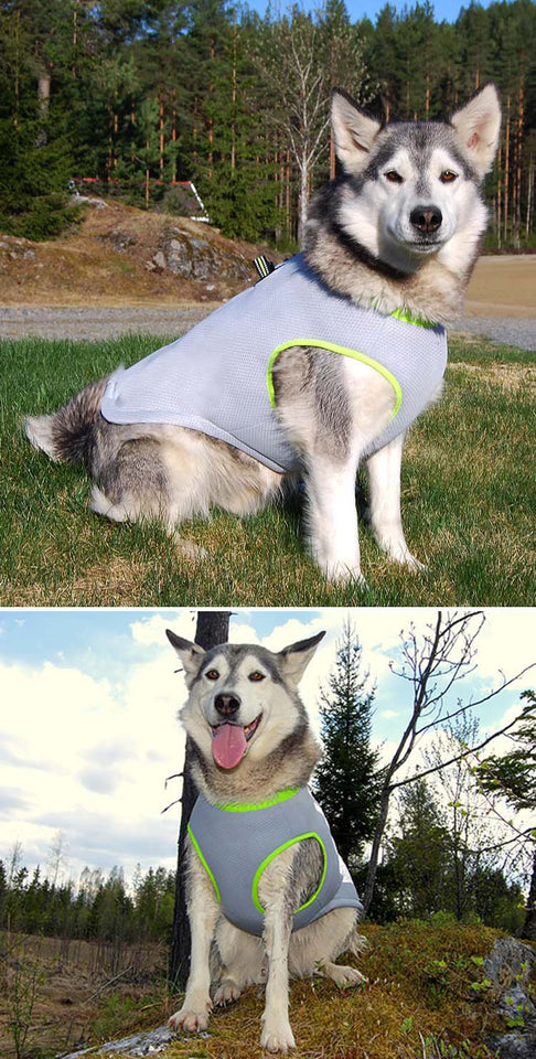 K9 COOLDOWN™ Dog Cooling Vest