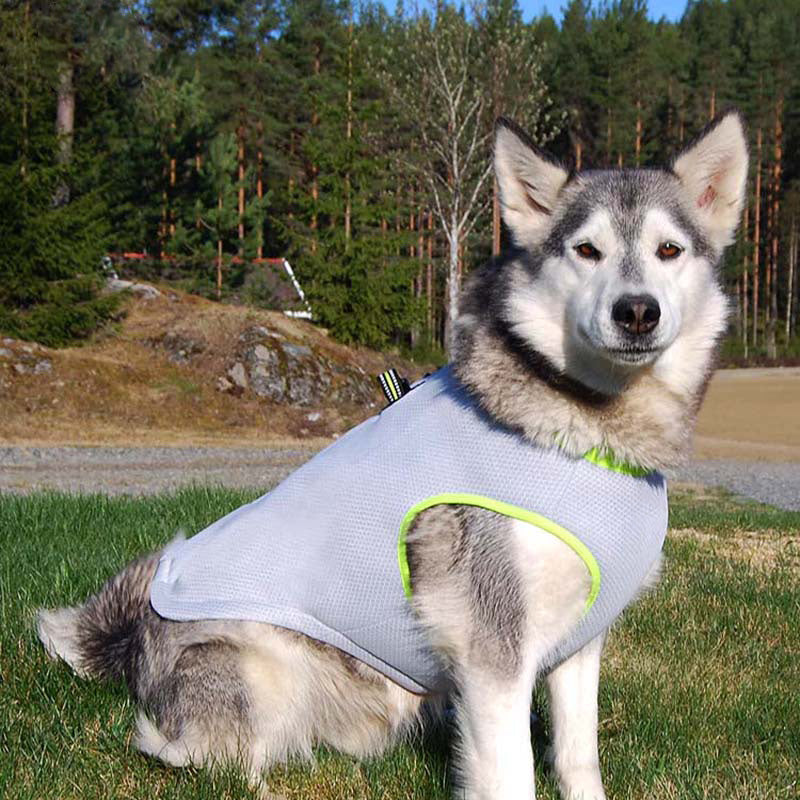 K9 COOLDOWN™ Dog Cooling Vest