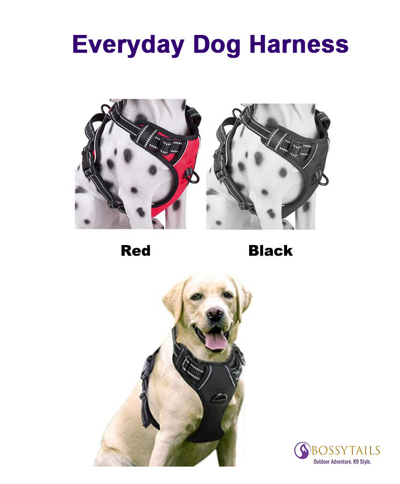 Shop Adventure Dog Harness