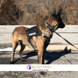 ELITE K9™ Tactical Dog Bungee Leash