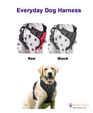 Everyday Dog Harness