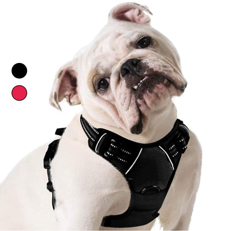 Everyday Dog Harness