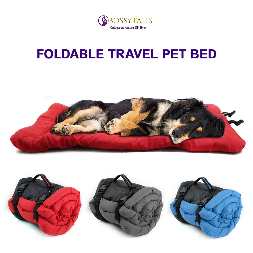 Dog Travel Pet Bed