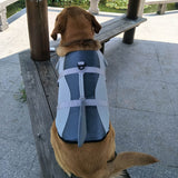 Dog Life Jacket