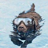 ELITE K9™ Dog Goggles