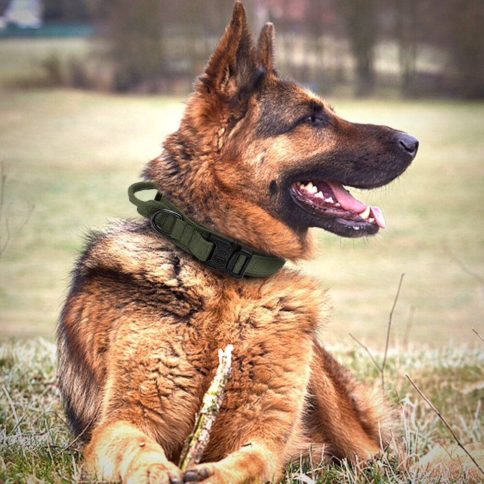 ELITE K9™ Tactical Dog Collar