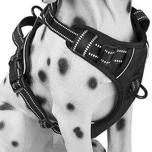 Everyday Dog Harness