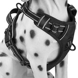 Everyday Dog Harness