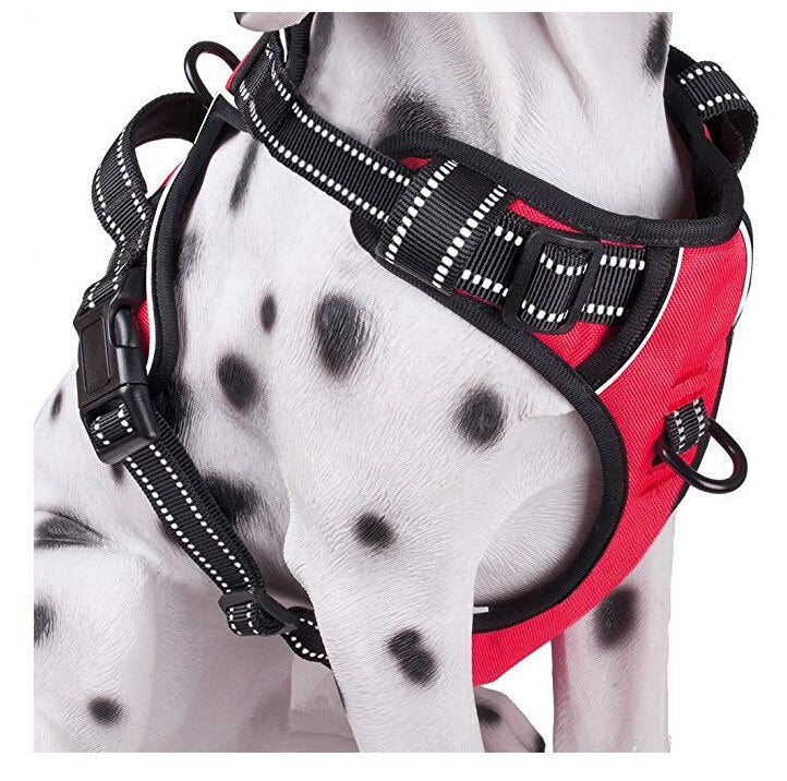 Everyday Dog Harness